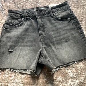 Unpublished Boutique Shorts